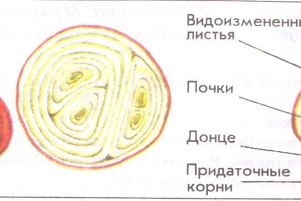 Рабочая ссылка кракен в тор