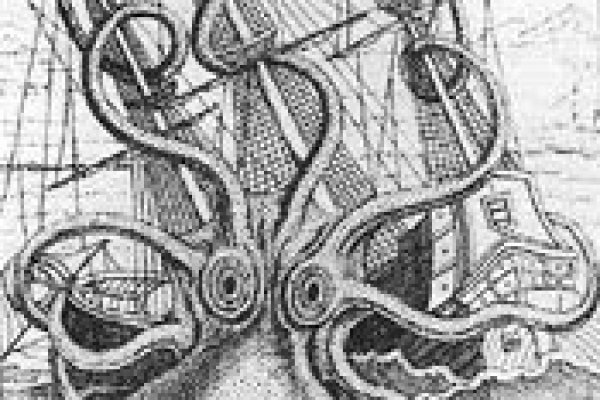Kraken 13 at com