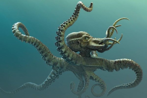 Kraken зеркало krakentor site