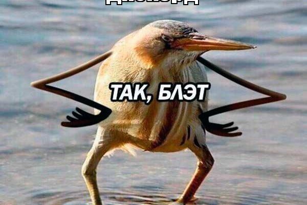 Кракен вход