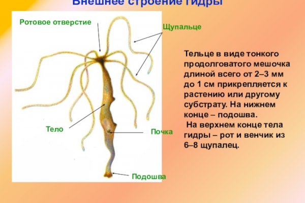 Кракен не грузит