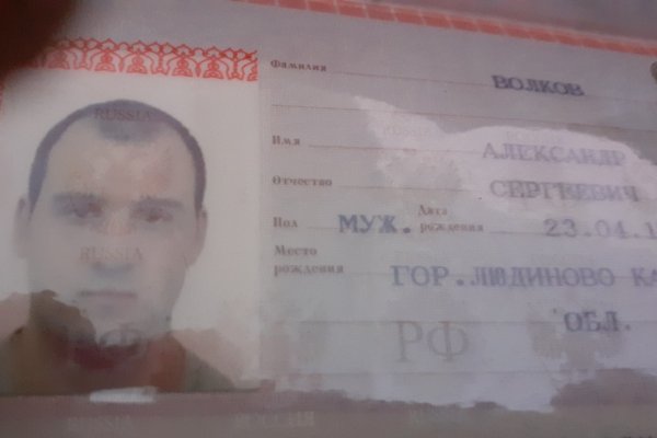 Что продают на сайте кракен