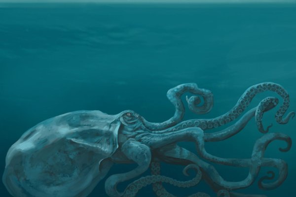 Ссылка на кракен onion kraken dark link