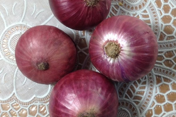 Прямая ссылка на кракен