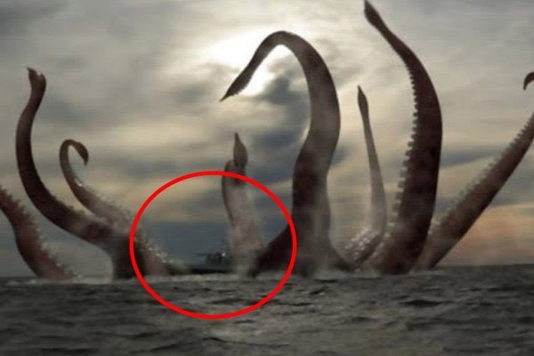 Ссылка на кракен тор kraken2 4aa337