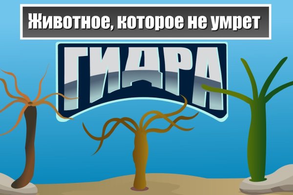 Кракен ссылка 2025